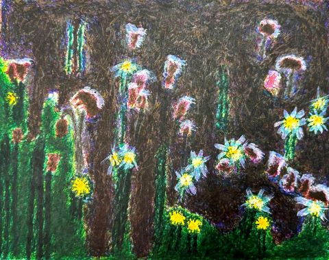 A garden at night